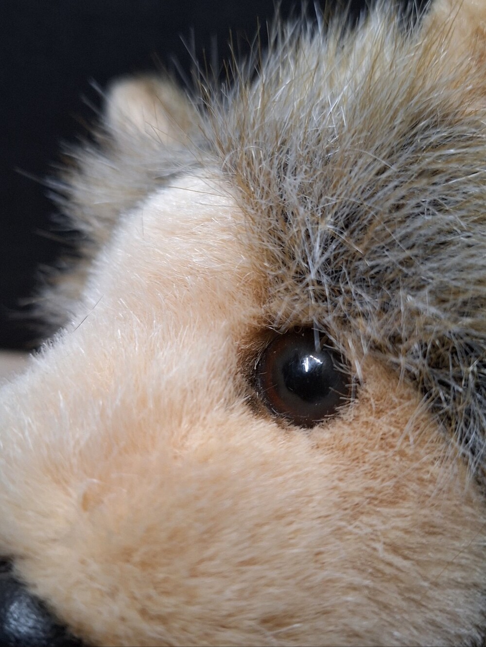 Douglas Cuddle Toys Tyson Wolf #1836 Brown Tan Gray Long Plush Fur 13" 2018 - Picture 11 of 16